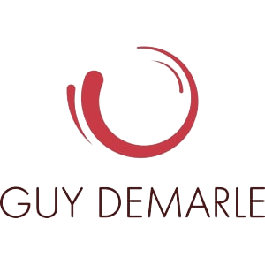 Logo Guy Demarle